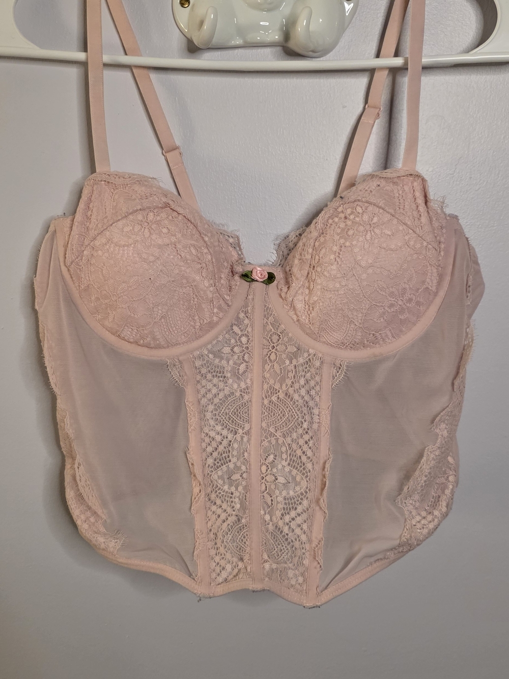 Rue21 Soft Pink Lace Bustier Sz L